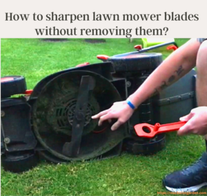 HOW TO SHARPEN LAWN MOWER BLADES WITHOUT REMOVING THEM?