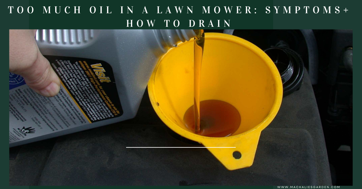 too much oil in lawn mower