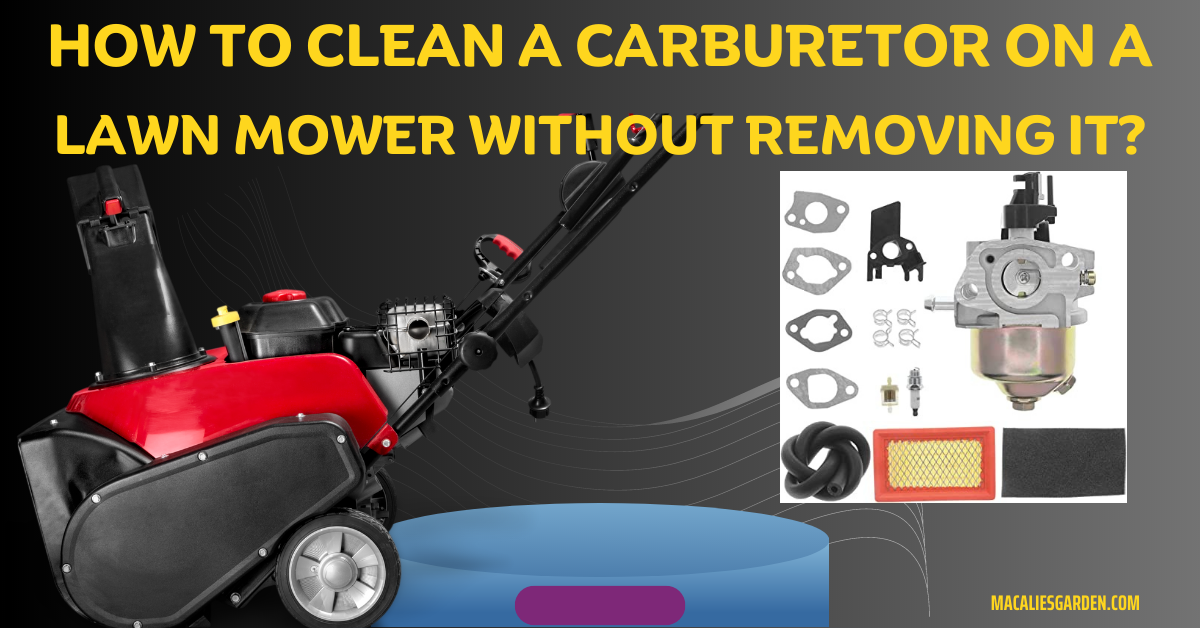 how to clean a carburetor on a lawn mower without removing it