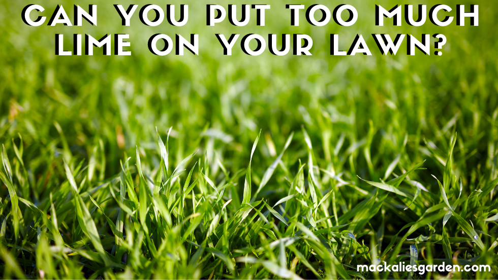 CAN YOU PUT TOO MUCH LIME ON YOUR LAWN?
