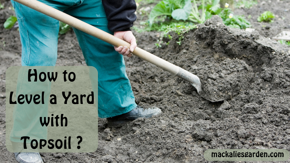 How to Level a Yard with Topsoil ?