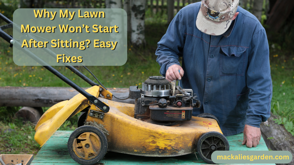 Why My Lawn Mower Won't Start After Sitting? Easy Fixes
