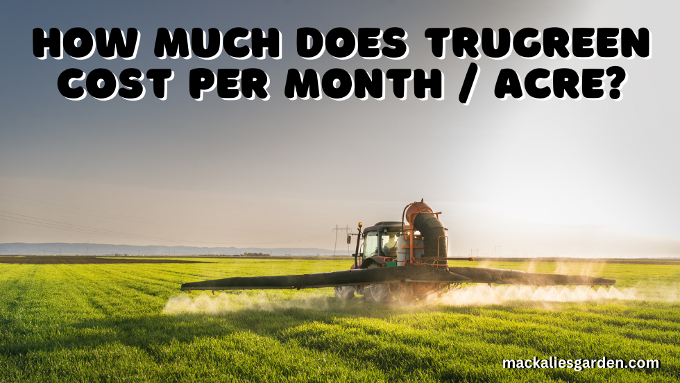 HOW MUCH DOES TRUGREEN COST PER MONTH / ACRE? | PLAN & SERVICES 2023